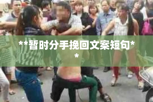 **暂时分手挽回文案短句**