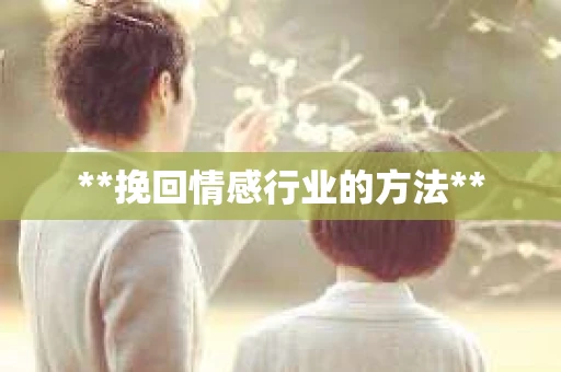 **挽回情感行业的方法**