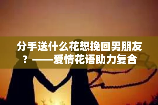 分手送什么花想挽回男朋友？——爱情花语助力复合