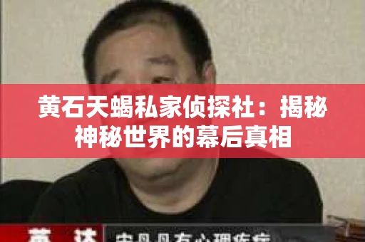 黄石天蝎私家侦探社：揭秘神秘世界的幕后真相