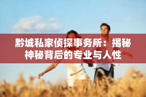 黔城私家侦探事务所：揭秘神秘背后的专业与人性