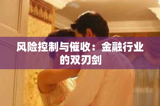 风险控制与催收：金融行业的双刃剑