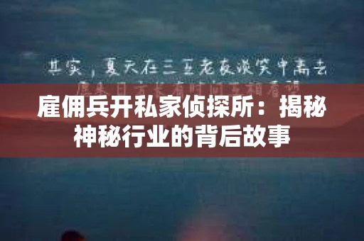 雇佣兵开私家侦探所：揭秘神秘行业的背后故事
