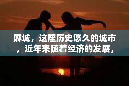 麻城，这座历史悠久的城市，近年来随着经济的发展，各类金融服务也应运而生。其中，催收公司作为金融服务的一部分，也逐渐走进了人们的视野。那么，问题来了，麻城有没有催收公司呢？今天，我们就来聊聊这个话题。
