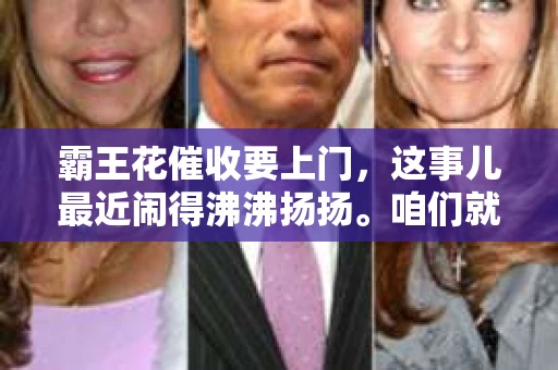 霸王花催收要上门，这事儿最近闹得沸沸扬扬。咱们就来聊聊这个话题，看看霸王花催收上门的背后，究竟隐藏着哪些问题。