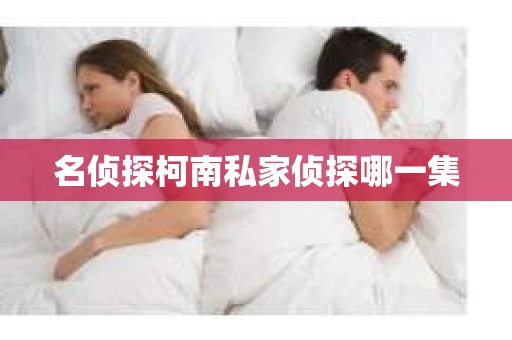名侦探柯南私家侦探哪一集