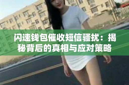 闪速钱包催收短信骚扰：揭秘背后的真相与应对策略