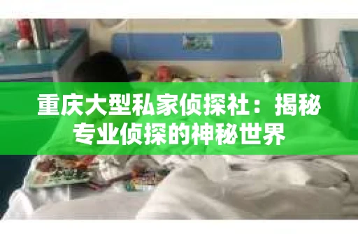 重庆大型私家侦探社：揭秘专业侦探的神秘世界
