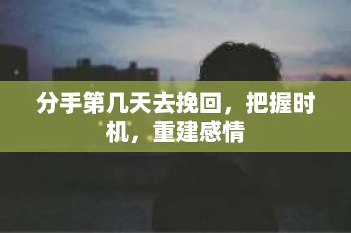 分手第几天去挽回，把握时机，重建感情