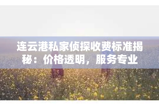 连云港私家侦探收费标准揭秘：价格透明，服务专业