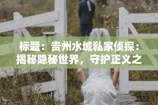 标题：贵州水城私家侦探：揭秘隐秘世界，守护正义之光