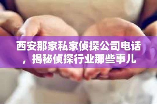 西安那家私家侦探公司电话，揭秘侦探行业那些事儿
