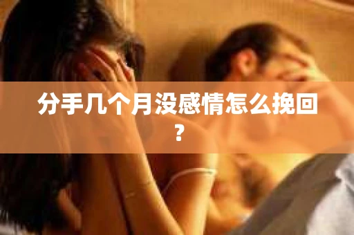 分手几个月没感情怎么挽回？