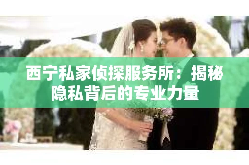 西宁私家侦探服务所：揭秘隐私背后的专业力量