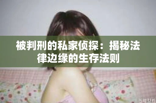 被判刑的私家侦探：揭秘法律边缘的生存法则
