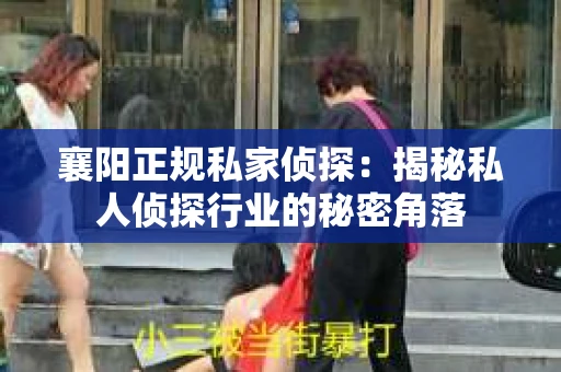 襄阳正规私家侦探：揭秘私人侦探行业的秘密角落
