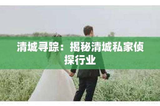 清城寻踪：揭秘清城私家侦探行业