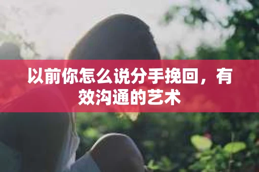 以前你怎么说分手挽回,有效沟通的艺术 以前你怎么说分手挽回,有效沟通的艺术